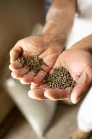 Roland ADOLPHE - Photographie d'un clic