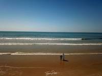 Florian PEROUD - Vent des Web