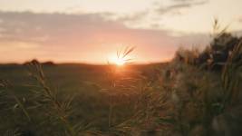 Louis-Evrard QUILLIARD - LEQ VIDEASTE