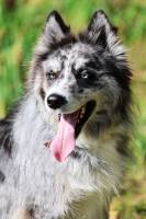 Mélissa BEAUFFRETON - MELISSA PHOTOGRAPHIE