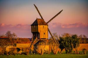 Olivier MULHAUPT - IMPACT PHOTOGRAPHIE ANJOU